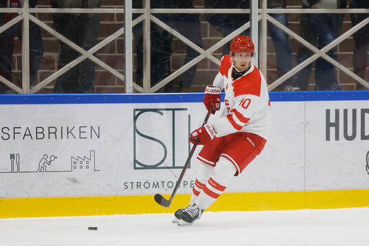 Timrås David Lilja