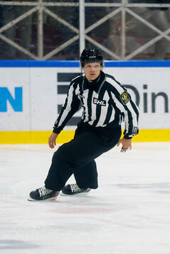 Domare William Henriksson
