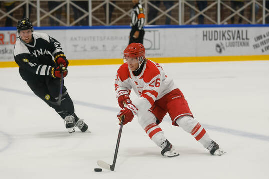 Timrås Anton Heikkinen