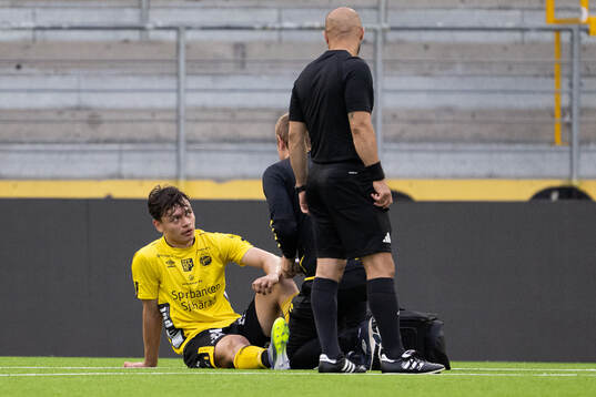 Elfsborgs Dag Hallgren får vård