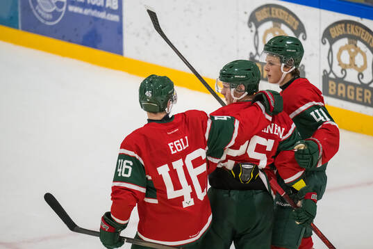 Frölundas Dominik Egli, Arttu Ruotsalainen och Ivar