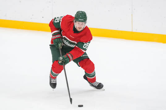 Frölundas Erik Thorell