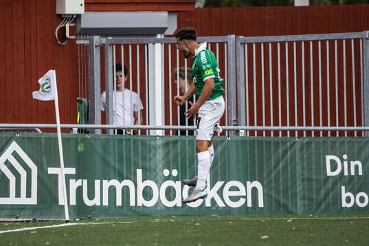 Brages Haris Brkic jublar