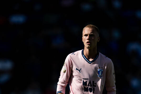 Malmö FFs Daniel Gudjohnsen