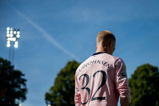 Malmö FFs Daniel Gudjohnsen