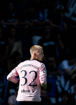 Malmö FFs Daniel Gudjohnsen