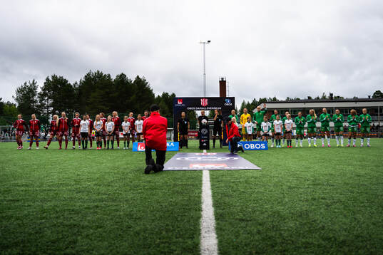 Spelare från Piteå och Hammarby