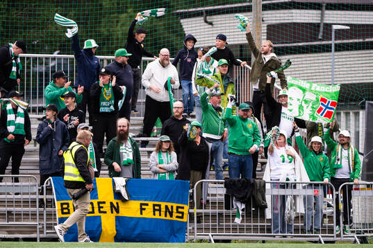 Hammarbys supportrar