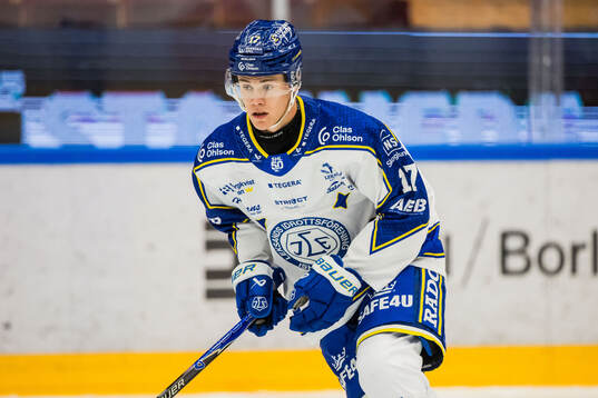 Leksands Dennis Altörn
