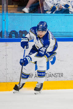Leksands Stefan Milosevic