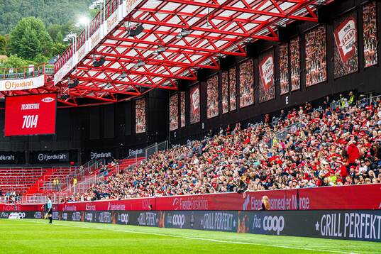 Spectators in the stands