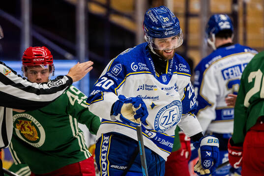 Leksands Nolan Stevens