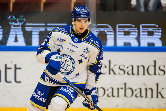 Leksands Stefan Milosevic