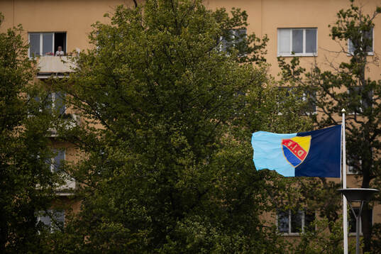Djurgårdens flagga