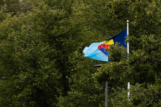 Djurgårdens flagga