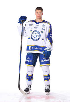 Leksands Dennis Altörn