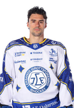 Leksands Gabriel Fortier