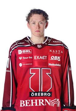 Örebros Theodor Hallquisth