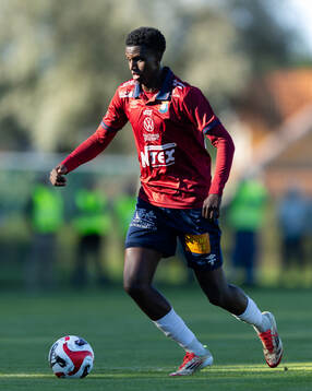 Örgrytes Ibrahim Ahmed