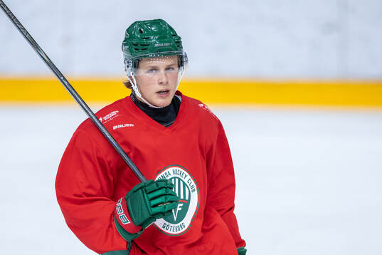 Bläddra bland fler bilder av Ishockey, SHL, Frölunda, träning