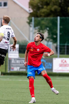 Helsingborgs Kosta Petrovic