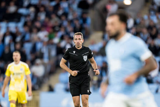Referee Tobias Stieler