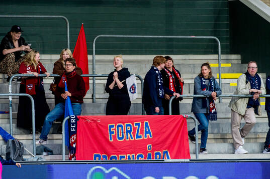 Rosengårds supportrar