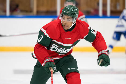 Max Westergård