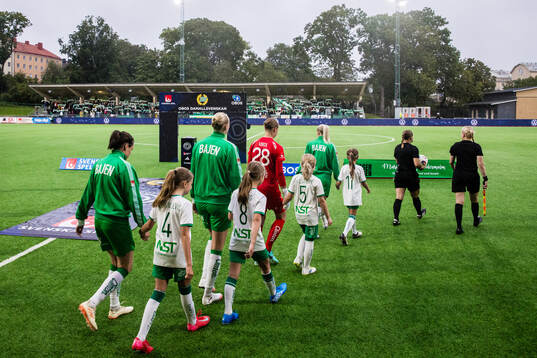 Hammarbys spelare