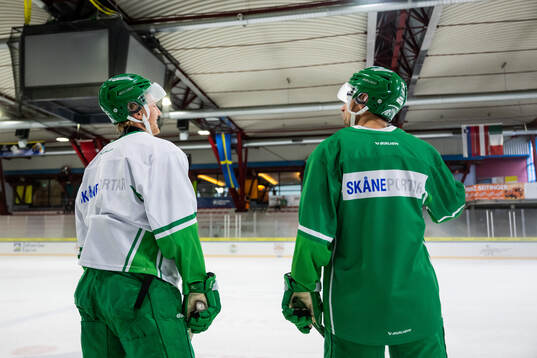Linus Sjödin och Daniel Zaar