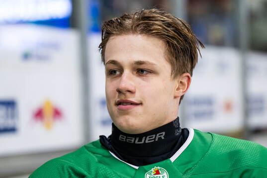 Rögles Vladimir Dravecký