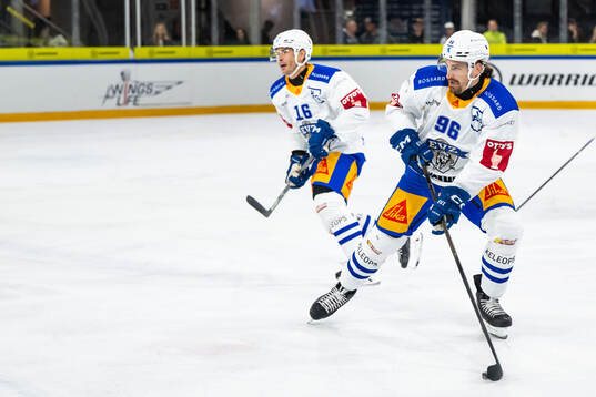 Zugs Daniel Vozenilek