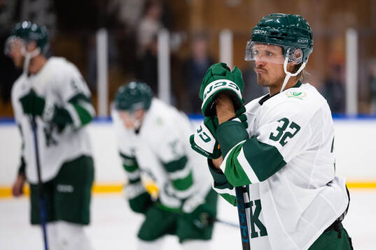 Färjestads Magnus Nygren deppar