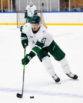 Färjestads Gabriel Carlsson