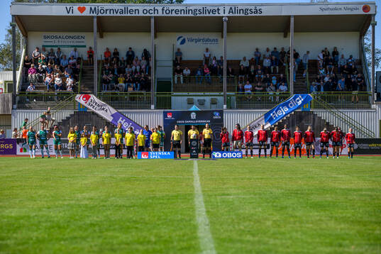 Lineup