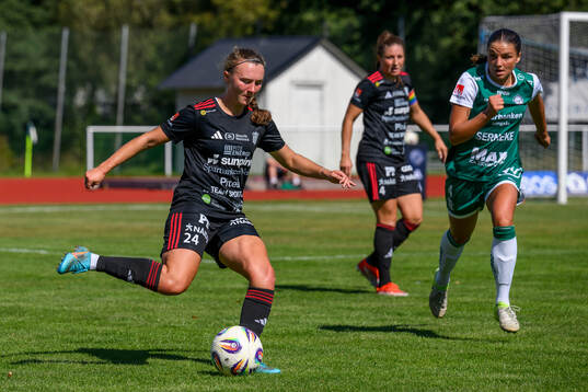 Piteås Emily Gray