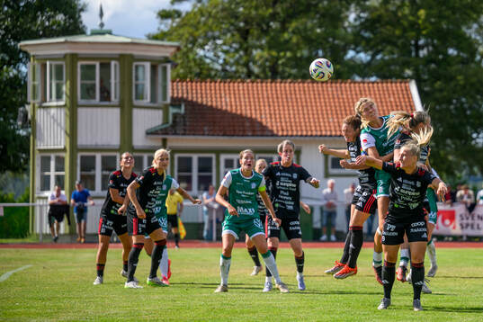 Alingsås Emmaliina Tulkki