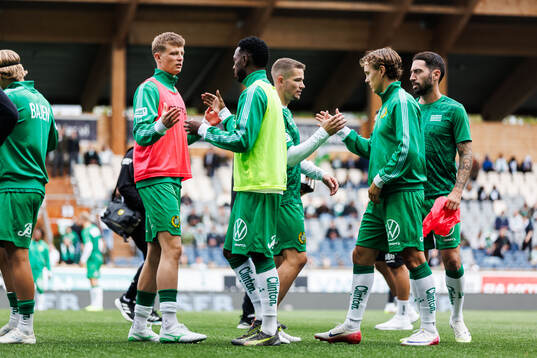 Hammarbys spelare