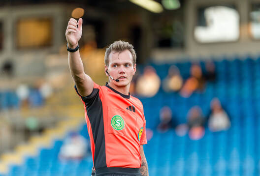 Domare Fredrik Alknäs
