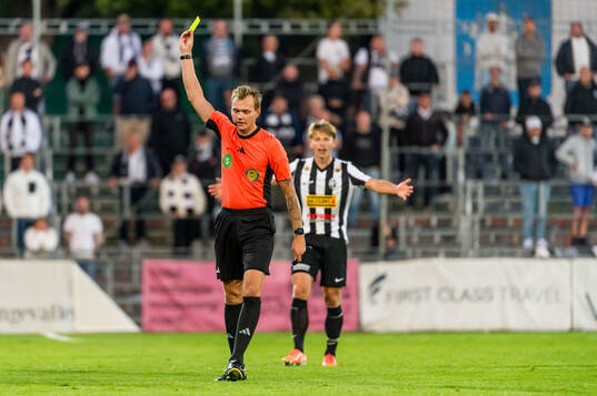 Domare Fredrik Alknäs
