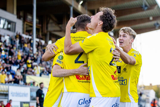 Falkenbergs spelare jublar