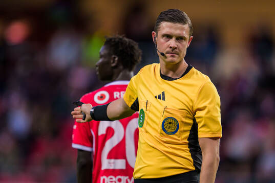 Domare Erik Mattsson