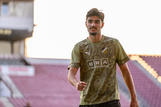 Nikola Mitrovic