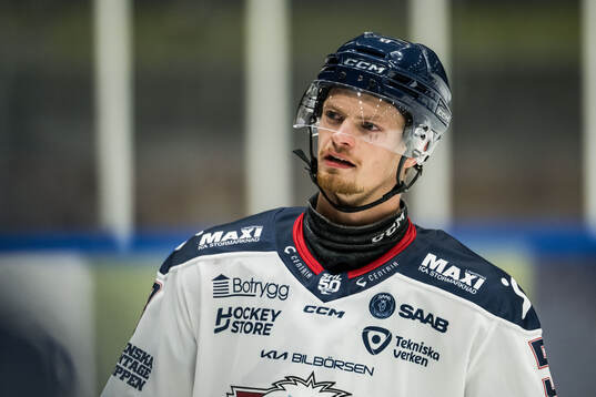 Linköpings Adam Hofbauer deppar
