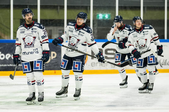 Linköpings Max Martin deppar och Johan Johnsson