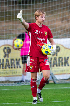 IFK Hässleholms målvakt Gabriel Gagzis i matchen i div. 2