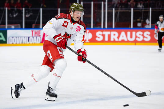 Brett David Pollock of Bolzano