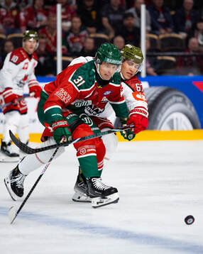 Nicklas Lasu of Frölunda and Matthew James Bradley of