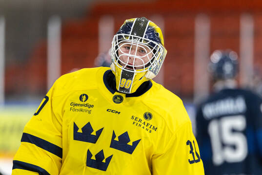 Goalkeeper Vilmer Salén Forsberg of Sweden