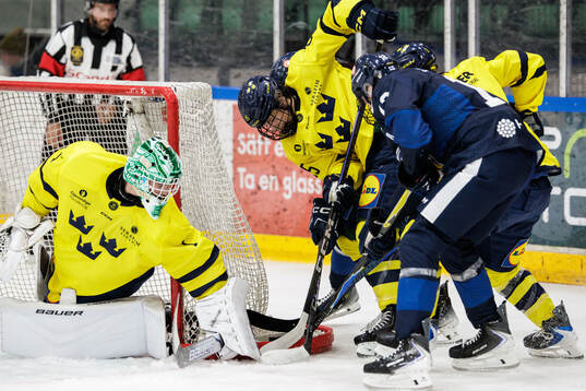 Goaltender Fabian Nääs Salasca and Vilgot Nygren of Sweden